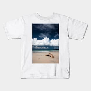 Beach driftwood and dark blue sky Kids T-Shirt